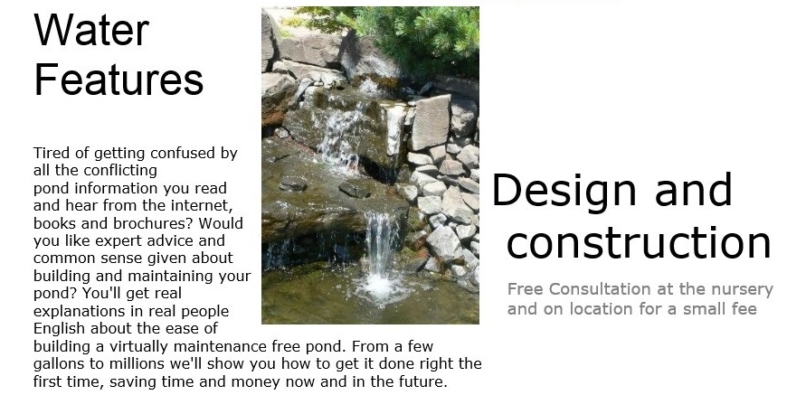 Water Features - Design and Construction.  Tired of getting confused by all the conflicting pond information you read and hear from the internet, books, and brochures?  Would you like expert advice and common sense given about building and maintaining your pond?  You'll get real explanations in real people English about the ease of building a virtually maintenance free pond.  From a few gallons to millions we'll show you how to get it done right the first time, saving time and money now and in the future.  Free consultation at the nursery and on location for a small fee.